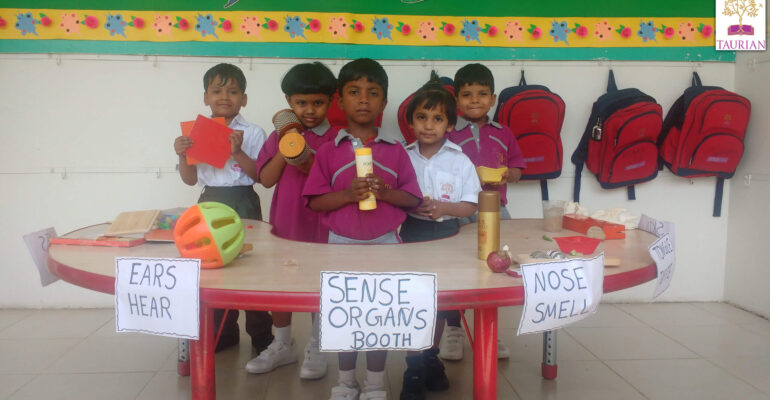 Grade-LKG-Sense-Organs-Activity-10