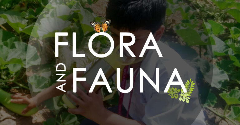 Flora-and-Fauna-fb-post