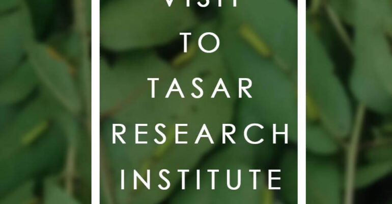 cover-page