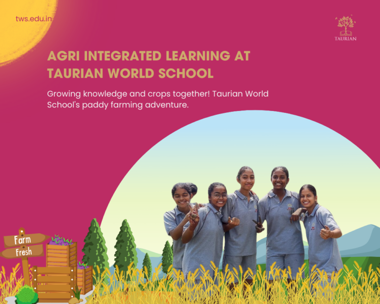 Learning Beyond the Classroom – Our Paddy Farming Adventure