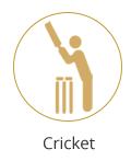 Cricket
