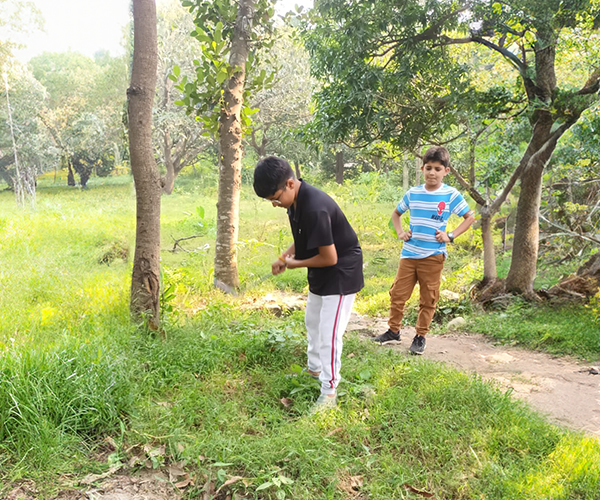 Nature-Learning_4