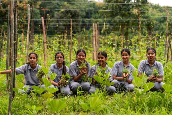Organic Farming-1