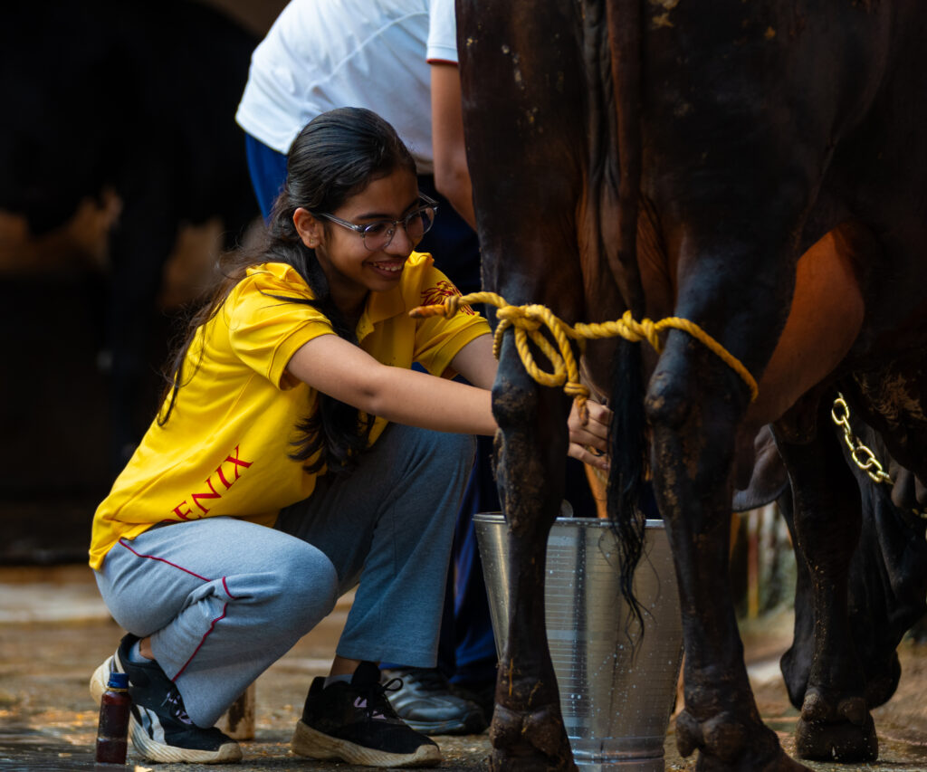 Dairy Farming-2