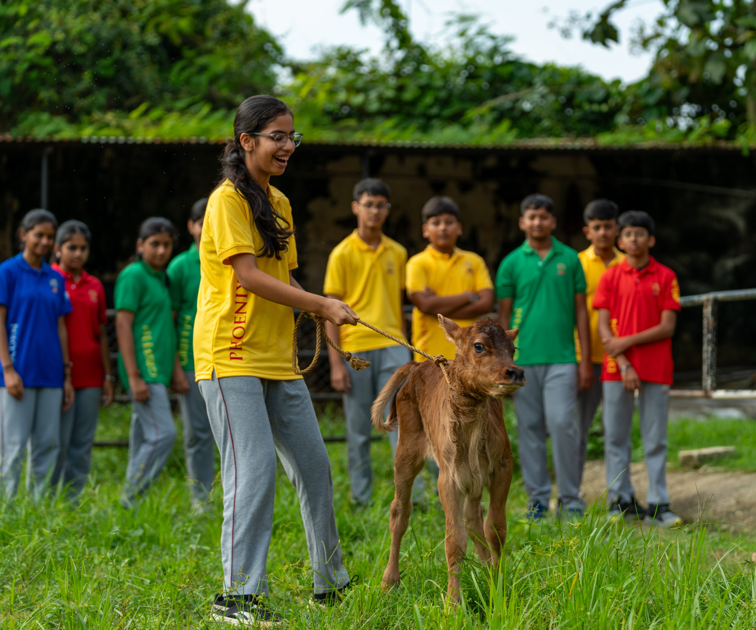 Dairy Farming-5