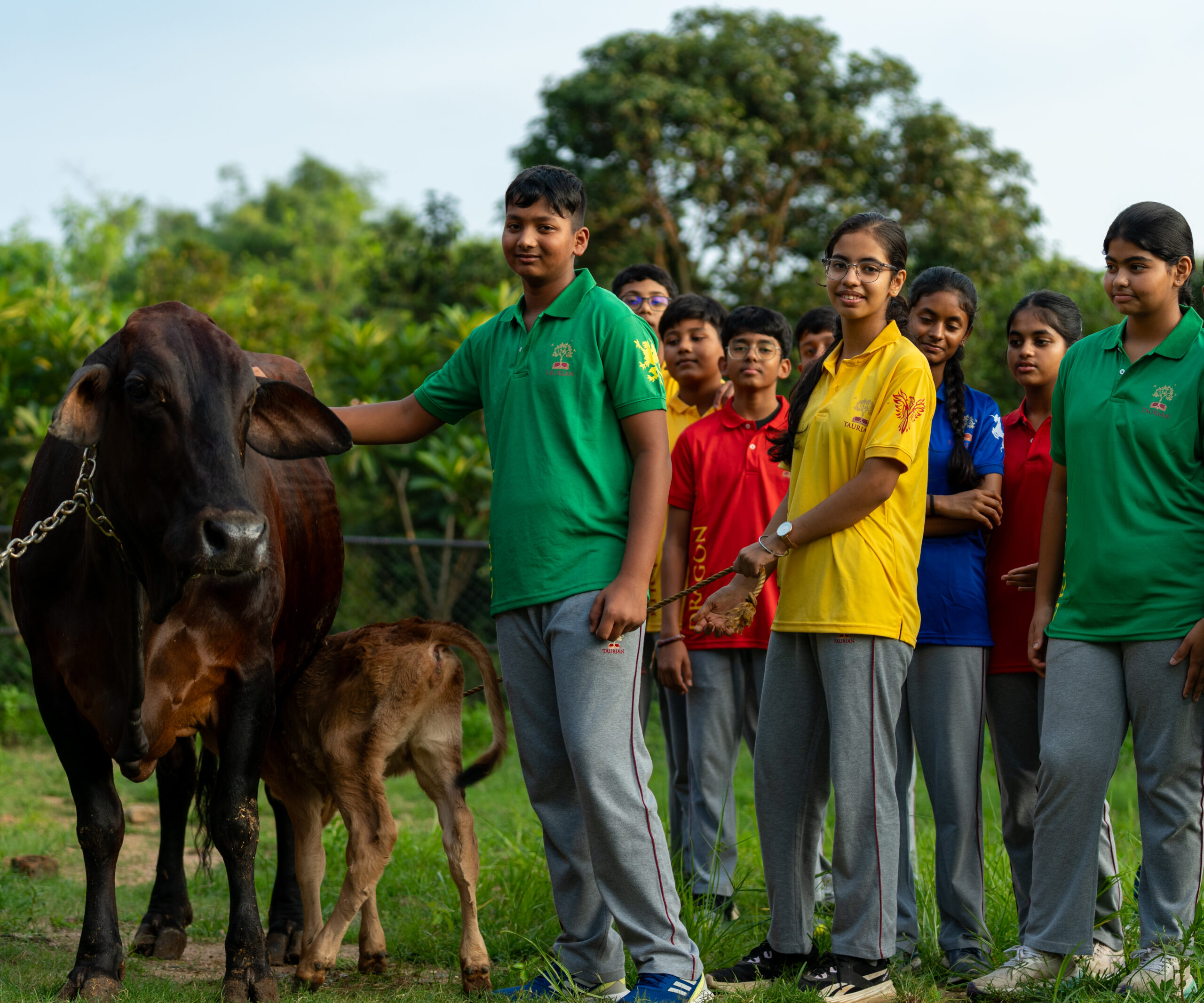 Dairy Farming-6