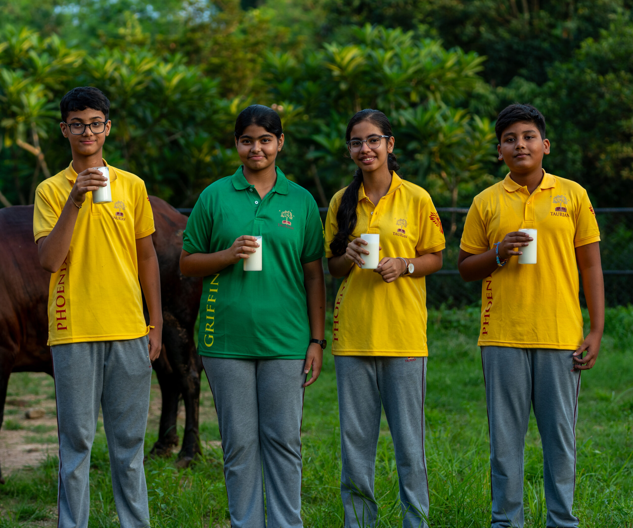 Dairy Farming-1