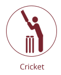 Cricket